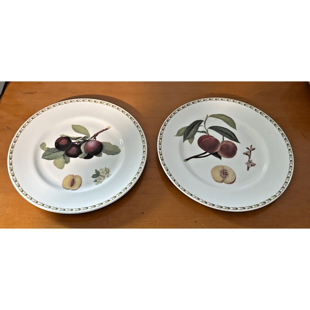 SET OF 2 QUEENS ROYAL HORTICULTURAL SOCIETY HOOKERS FRUIT DINNER PLATES ~ XLNT